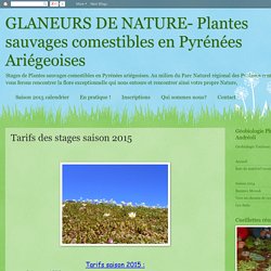 GLANEURS DE NATURE- Plantes sauvages comestibles en Pyrénées Ariégeoises : Tarifs des stages saison 2015