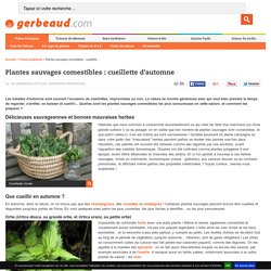 Plantes Sauvages Comestibles : Cueillette d'Automne
