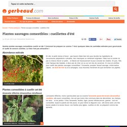 Plantes sauvages comestibles : Cueillettes en Eté