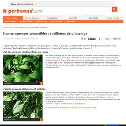 Plantes Sauvages Comestibles : Cueillettes de Printemps