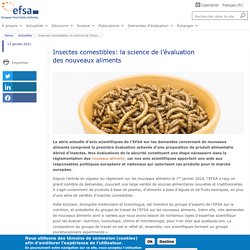 EFSA 13/01/21 Insectes comestibles: la science de l’évaluation des nouveaux aliments
