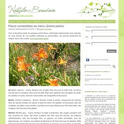 Nathalie en herbe - Herboriste et soins au naturel