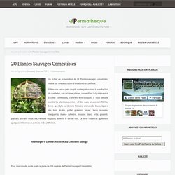 20 Plantes Sauvages Comestibles