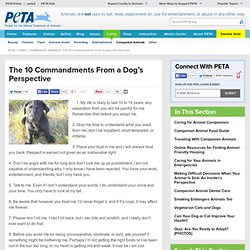The 10 Commandments From a Dog's Perspective