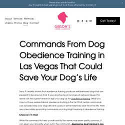 Commands From Dog Obedience Training in Las Vegas That Could Save Your Dog’s Life