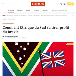 Comment l'Afrique du Sud va tirer profit du Brexit