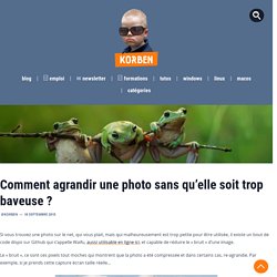 Comment agrandir une photo sans qu'elle soit trop baveuse ?