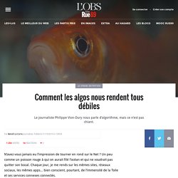 Comment les algos nous rendent tous débiles