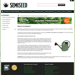 Comment nourrir vos plants de cannabis ? - SemiSeed