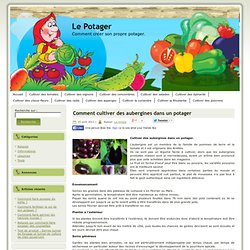 Comment cultiver des aubergines dans un potager