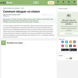 Comment éduquer un chaton (avec images)