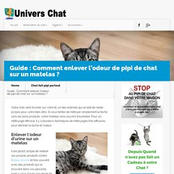 Guide : Comment enlever l'odeur d'urine sur un matelas ?