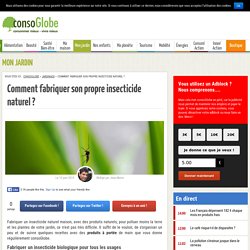 Comment fabriquer son propre insecticide naturel