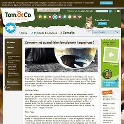 Tom&Co - Comment et quand faire fonctionner l’aquarium ?