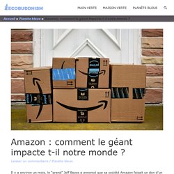Amazon : comment le géant impacte t-il notre monde ? - EcoBuddhism