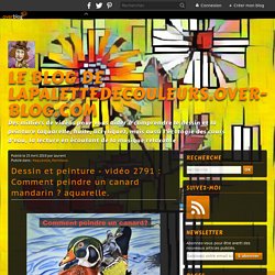 vidéo 2791 : Comment peindre un canard mandarin ? aquarelle.