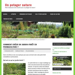Comment créer un jardin-forêt en permaculture ? - Un potager nature