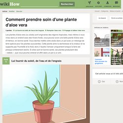 Comment prendre soin d'une plante d'aloe vera - wikiHow