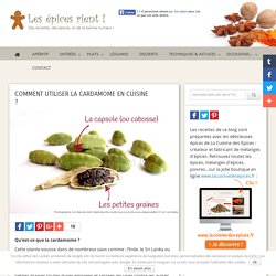 Comment utiliser la Cardamome en cuisine ?