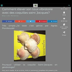 Comment élever son taux vibratoire avec des coquilles saint Jacques?