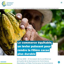 Le commerce équitable, un levier puissant pour rendre la filière cacao plus durable