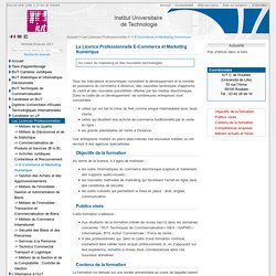 LP E-Commerce et Marketing Numérique - IUT C Lille