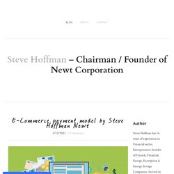 E-Commerce payment model by Steve Hoffman Newt