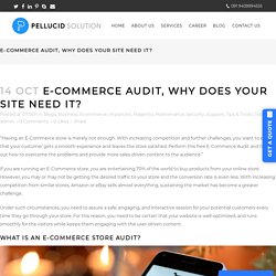 E-commerce Audit, Why does your site need it?