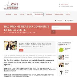 Bac Pro Métiers du Commerce et de la Vente – Lycée Professionnel Francis de Croisset