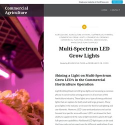 Multi-Spectrum LED Grow Lights – Commercial Agriculture