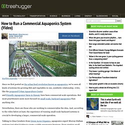 How to Run a Commercial Aquaponics System (Video)