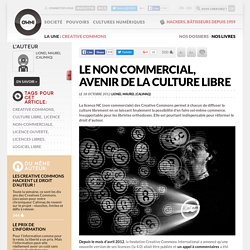 Le non commercial, avenir de la culture libre