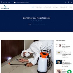 Commercial Pest Control