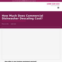 How Much Does Commercial Dishwasher Descaling Cost? - Veridia