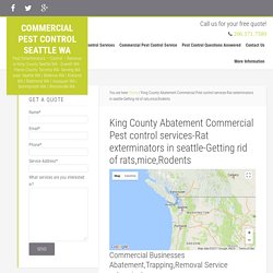 King County Abatement Commercial Pest control services-Rat exterminators in seattle-Getting rid of rats,mice,Rodents