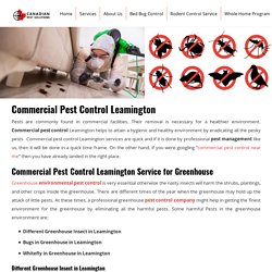 Commercial Pest Control Leamington - Pest Control Services Windsor