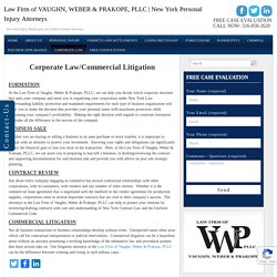 Commercial Litigation Lawyers New York