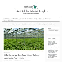 Global Commercial Greenhouse Market Outlook, Opportunities And Strategies - Latest Global Market Insights