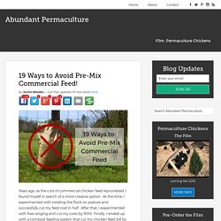19 Ways to Avoid Pre-Mix Commercial Feed! - Abundant Permaculture