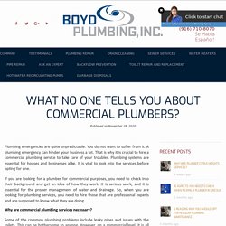 What No One Tells You About Commercial Plumbers?