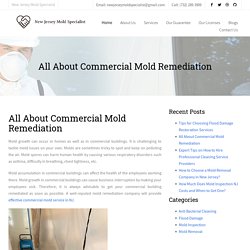 All About Commercial Mold Remediation