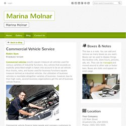 Commercial Vehicle Service - Marina Molnar : powered by Doodlekit