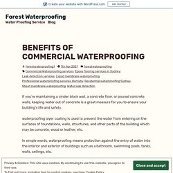 BENEFITS OF COMMERCIAL WATERPROOFING
