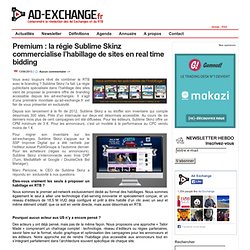 Premium : la régie Sublime Skinz commercialise l’habillage de sites en real time bidding