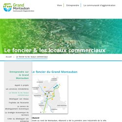 Grand Montauban – Communauté d'Agglomération : 2ème bassin d'emplois de la Région Midi-Pyrénées