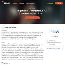 ▷ Offre Emploi CDI Ingénieurs Commerciaux Provence-Alpes-Côte d'Azur - Recrutement en CDI par BS Fusion