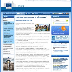 La politique commune de la pêche (PCP) - Pêche - Commission européenne