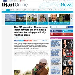 The GM genocide: Thousands of Indian farmers are committing suicide after using genetically modified crops