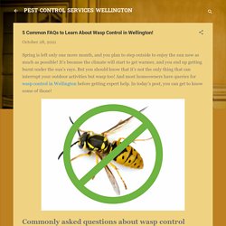 5 Common FAQs to Learn About Wasp Control in Wellington!