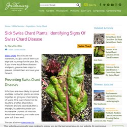 Common Swiss Chard Diseases - How To Treat Diseased Swiss Chard Plants
